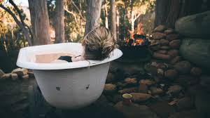 Cabin connect offers a professional platform for existing cabin owners to sell their cabin or. 0mmiksej1qdl2m