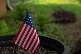 Atlanta Flag Of U S A On Plant Pot Park Bench Image Free Stock Photo