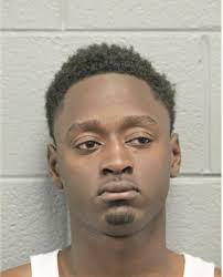 ᐅ Illinois Criminal Records 2009-2025