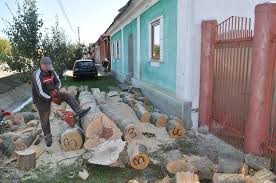 Aici vom inceca sa dam raspunsuri la intrebari din orice domeniu. Lemnul De Foc S A Scumpit Cat Va Ajunge Sa Coste Metrul Cub In Aceasta Iarna