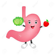 Happ Healthy Stomach Character With Cabbage And Apple Cute Cartoon Royalty Free Cliparts Vectors And Stock Illustration Image 114953924 Choose from 20+ cartoon stomach graphic resources and download in the form of png, eps, ai or psd. happ healthy stomach character with cabbage and apple cute cartoon