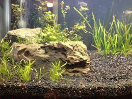 Substrate Support Dividers Aquascape Substrate Supportive