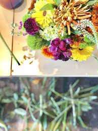 Debi lilly, a celebrity event planner floral designer, was in dallas to discuss the latest trends in florals and debi lilly design is a floral and home décor collection available in the dallas area exclusively at your local i will also share a few secrets debi told me to help make your flowers last longer! Floral Tips From Debi Lilly For Any Occasion Twins And Coffee Motherhood Mental Health Self Improvement