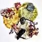 Pigment + Place event image