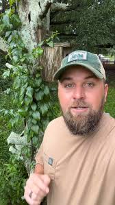 She's sharing myths we've worked hard to get rid of over the years but she  shares them because they get views and create arguments in the comments  that boost engagement. Most of