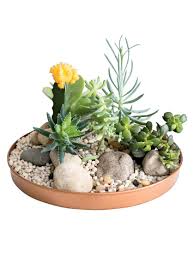 Plant Trays Round Plant Trays Copper Finish Plant Saucers Plant Tray Succulent Terrarium Plants