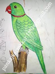 Easy Bird Drawing For Kids With Colour Easy Parrot Painting With Oil Pastel By Pankaj Karmakar Art Drawings Sketches Simple Parrot Painting Bird Drawings