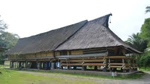 Rumah adat memiliki daya tarik tersendiri bagi banyak orang karena keunikannya, sehingga pada zaman sekarang ini banyak dikunjungi oleh masyarakat lokal maupun. Rumah Adat Batak Vector