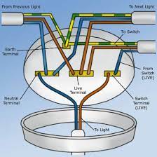 In this diagram, the black wire of the ceiling wire is for the fan and the blue wire is for the light kit. Wiring A Ceiling Rose How To Wire A Ceiling Rose Correctly Including How To Wire Light Switches For A Ceiling Rose Diy Doctor
