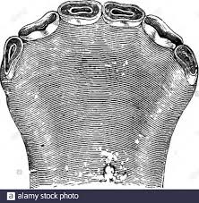 Con la finalidad de sustituir a las pistolas de calibre 38, la compañía colt se prepara para producir en masa las primeras 500 pistolas como pedido inicial. Na Schwarzweiss Stockfotos Und Bilder Seite 271 Alamy