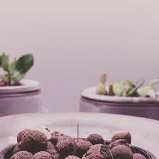Fused Earth Hydroponic Asparagus Fern From Seed These