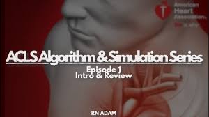 Walkthrough Of Neel Devi American Heart Association S Bradycardia Acls Scenario Youtube I enjoyed the real life practical scenarios applied by the instructor. bradycardia acls scenario