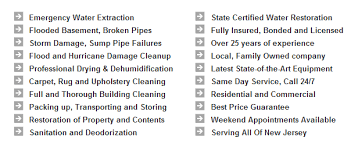 How much does mold remediation cost? Mold Removal Inspection Marlton Nj Above Beyond