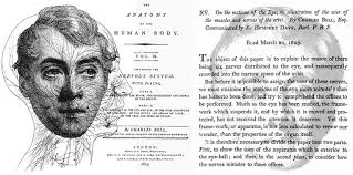 Pioneers of Eye Movement Research