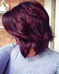 Fall Hair Color Cute Red Violet Hair Color For Medium Hair Ideas Hair Color Plum Hair Styles Hair Color Purple