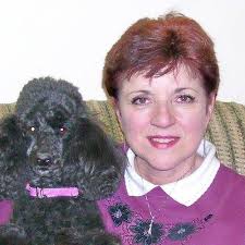 Ottawa Veterinary Hospital, 291 Commercial St, Marseilles, IL 61341, US