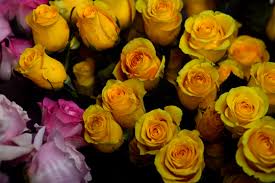 Order flowers for any occasion today. 100 Year Old Philpott Florists Powers Through Pandemic