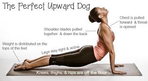 Pin On Yoga