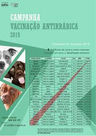 O certificado internacional de vacinação é o documento que comprova a vacinação contra doenças. Campanha De Vacinacao Anti Rabica 2019 E Identificacao Eletronica Cm Agueda