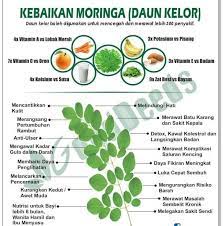 How to make healthy moringa leaves sambar kari dhal daun kelor ம ர ங க க ர ச ம ப ர. Faq Serbuk Daun Kelor Organik Project Moringa Organic Facebook