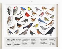 Birds Of North Carolina Book Pin By Weim Nagle On House In 2020 Backyard Birds Bird Book Sibley