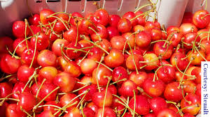 Перевод слова cherry, американское и британское произношение, транскрипция, словосочетания, однокоренные слова, примеры использования. Cherry Prices Remain Strong Produce Blue Book