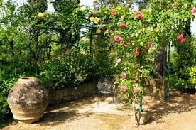 The garden mediterranean « back to santa maria, ca. Mediterranen Garten Anlegen Tipps Fur Die Gestaltung