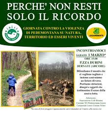 Io venivo qui col mio cagnolino: in Brianza la passeggiata nel bosco che  rischia di diventare solo un ricordo