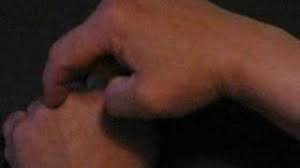 Rhyme to remember number of days in each month: How To Memorize How Many Days Are In Each Month 13 Steps