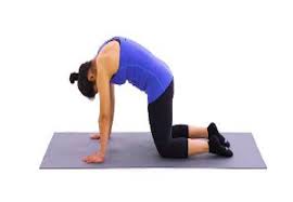 Yoga For Back Pain Relief Orthopedic Care At Orthoindy