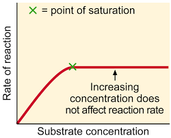 Chemistry For Biologists Enzymes