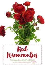 We did not find results for: Names And Types Of Red Wedding Flowers With Seasons Pics Red Wedding Flowers Wedding Flower Types Red Flower Names