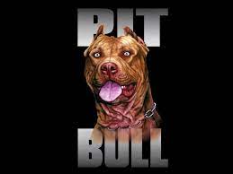Pitbull Wallpapers Android Apps On Google Play 1600 1200 Pitbull Wallpaper 41 Wallpapers Adorable Wallpapers Pitbull Wallpaper Pitbulls Pitbull Dog