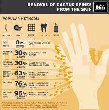 The thicker material is more successful at keeping thorns out, as this product. Guide To Cactus Spines And How To Remove Them Southwest Explorers