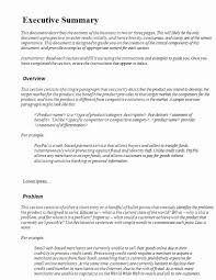 Passen sie unsere lieferschein vorlage einfach ihren eigenen anforderungen an und erstellen sie ihren eigenen lieferschein mit unserer kostenfreien vorlage. Business Summary Example Lovely 22 Executive Summary Samples Pdf Doc Executive Summary Template Executive Summary Business Plan Template