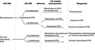Namun, kenapa protein dalam tubuh ini bisa terdapat di urine? Hipertensi Dalam Kehamilan Patofisiologi Diagnosis Penatalaksanaan Alomedika