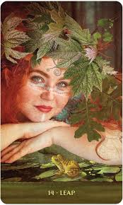 Wild Donna Rising Oracolo Carte Deck Angi Sullins US Giochi Sistemi  Fantasia