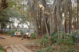 Horniman Circle Gardens in Mumbai