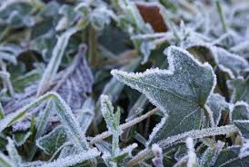 Maybe you would like to learn more about one of these? Menikmati Fenomena Embun Beku Di Dieng Republika Online