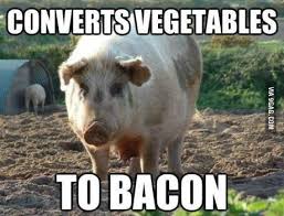 103 Prepper Memes Survival Meme Library Trueprepper Funny Pigs Funny Animals Bacon Funny