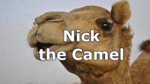 Bromate and iodate are the same as chlorate.) Nick The Camel Youtube