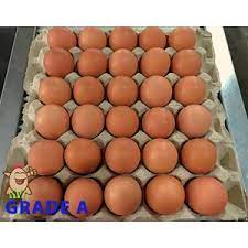 Yuk cocokan jam kamu sekarang biar tidak telat atau terlalu maju. Jual Telur Ayam Grade A Pt Sumber Pangan Nusantara Indonesia Deli Serdang Sumatera Utara Indotrading