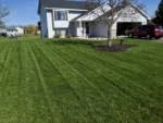 This makes the fall the best time to overseed a cool season lawn. Lawn Care Nut Cool Season Grass Guide The Lawn Forum