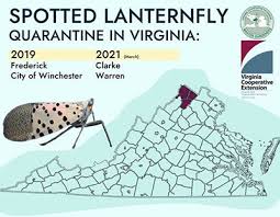 We all know about german people inhabiting the banks of the yauza river, where little peter, the future tsar of all russia, ran. Spotted Lanternfly Public Works And Environmental Services
