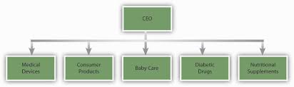 46 Studious Southwest Airlines Organizational Structure Chart