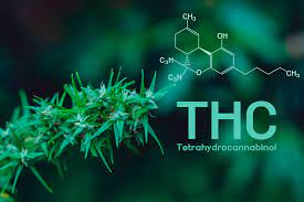 Un tch la lima es una lima de documento asociado con el ide borland c++. Conoce Los Beneficios Que Trae El Thc A Tu Salud Cbd Revision