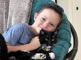 Everett, Calvin, and my favorite son 🐈‍⬛ #mom #momlife #moms  #momsofinstagram #momsofig #boymom #catmom #catsofinstagram