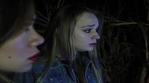 The Girl in the Cornfield (2016)