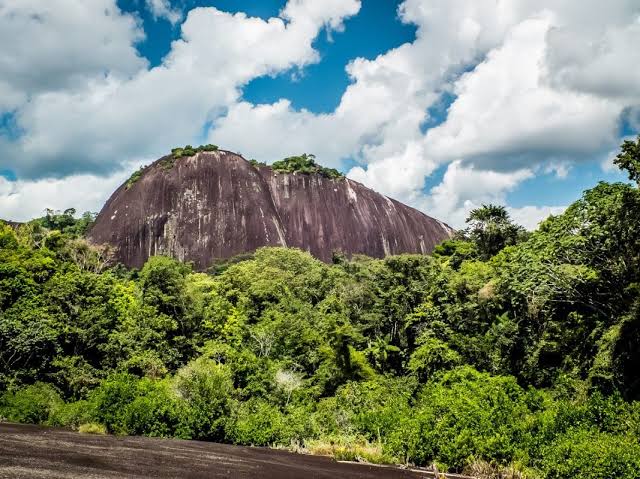 Raleighvallen Coppename River Suriname