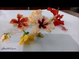 Check spelling or type a new query. Bleaching Of Flowers By Chlorine Youtube